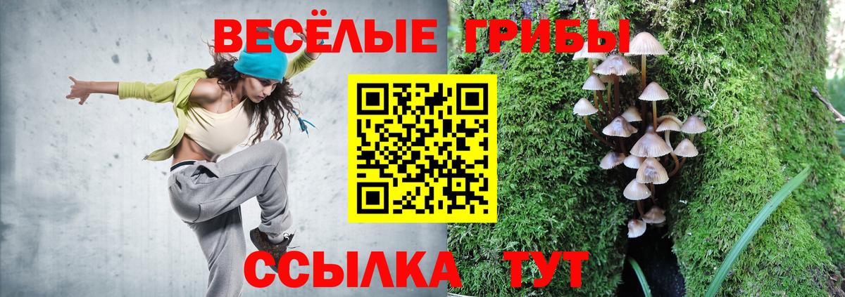 Псилоцибиновые грибы прущие грибы  Вход с VPN  Майский  Псилоцибиновые грибы мицелий 